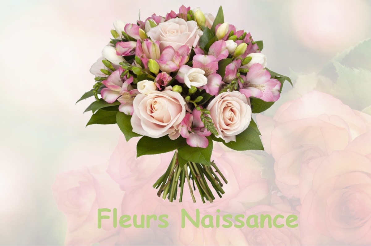 fleurs naissance FOUGEROLLES-DU-PLESSIS