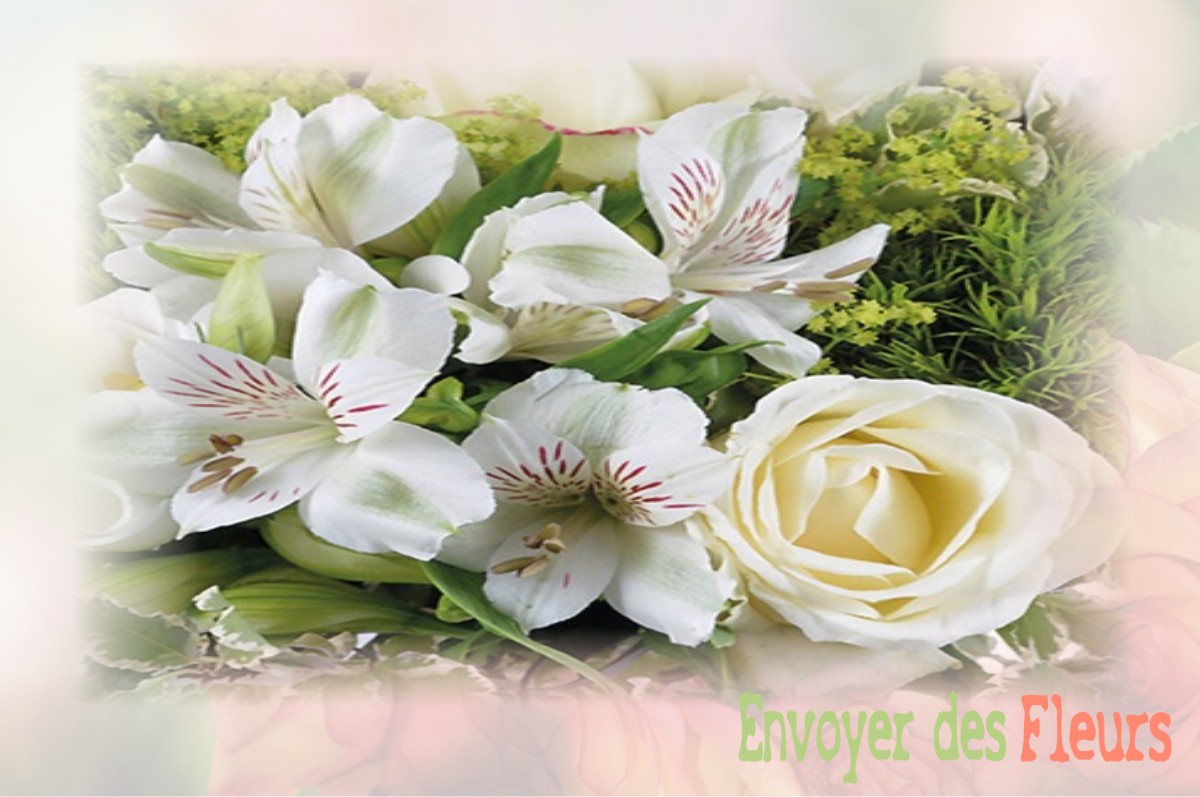 envoyer des fleurs à à FOUGEROLLES-DU-PLESSIS